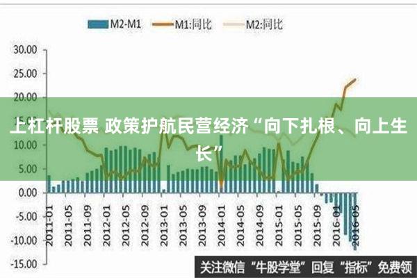 上杠杆股票 政策护航民营经济“向下扎根、向上生长”