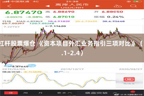 杠杆股票爆仓 《资本项目外汇业务指引三项对比》（1.1-2.4）