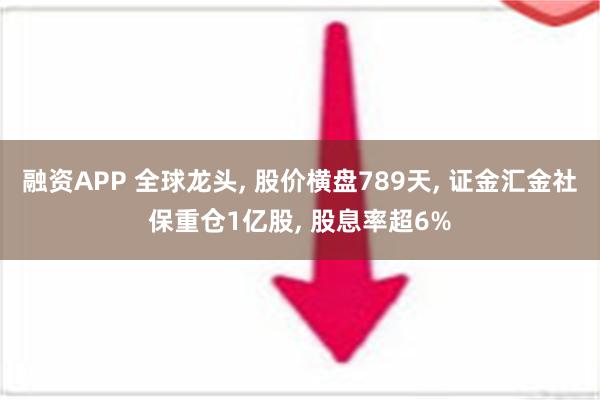 融资APP 全球龙头, 股价横盘789天, 证金汇金社保重仓1亿股, 股息率超6%