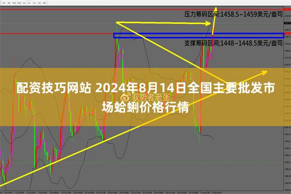 配资技巧网站 2024年8月14日全国主要批发市场蛤蜊价格行情