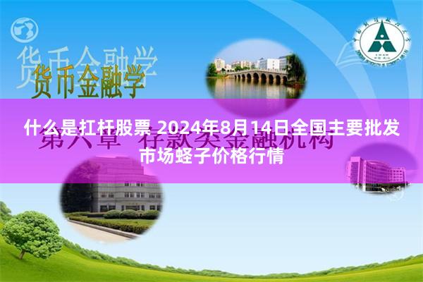 什么是扛杆股票 2024年8月14日全国主要批发市场蛏子价格行情