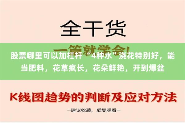 股票哪里可以加杠杆 “4种水”浇花特别好，能当肥料，花草疯长，花朵鲜艳，开到爆盆