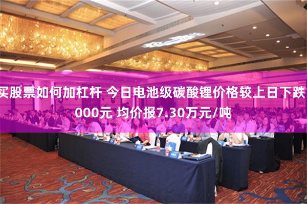 买股票如何加杠杆 今日电池级碳酸锂价格较上日下跌1000元 均价报7.30万元/吨