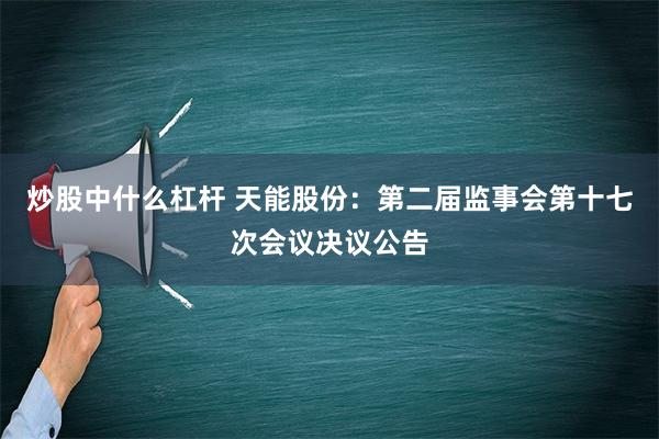 炒股中什么杠杆 天能股份：第二届监事会第十七次会议决议公告